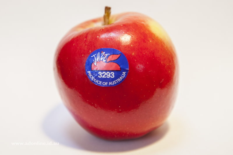 Apple with fruit sticker affixed to it.