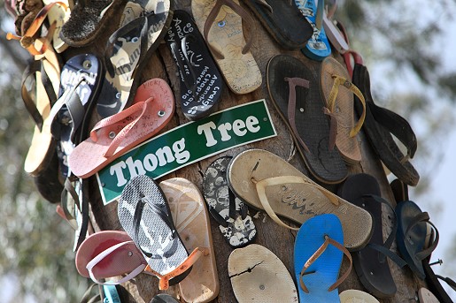 The Thong Tree