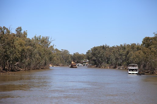 Looking along the Murray River