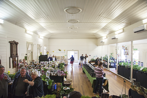 Interior of hall with plant stalls