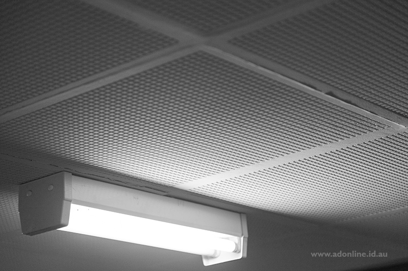 Fluorescent light and acousting tiles on ceiling