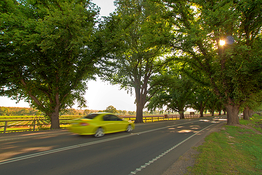 An Avenue