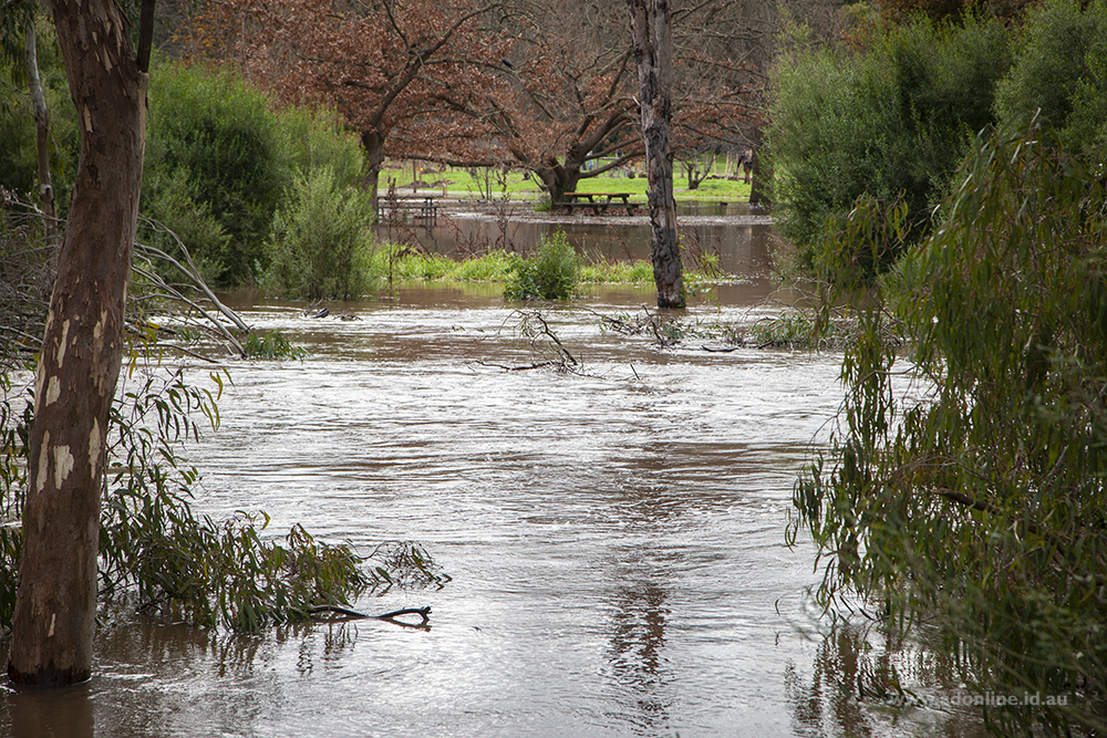 Looking across a swollen river to semi-submerged park benches.