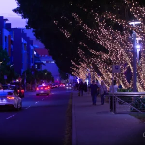 Colours lights wrapped around tree trunks along the side of a road with cars moving along it and shops opposite.