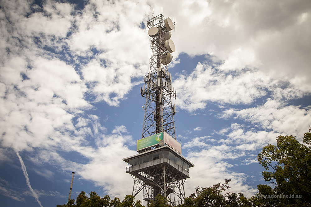 Photo of telecommunications tower with trees below